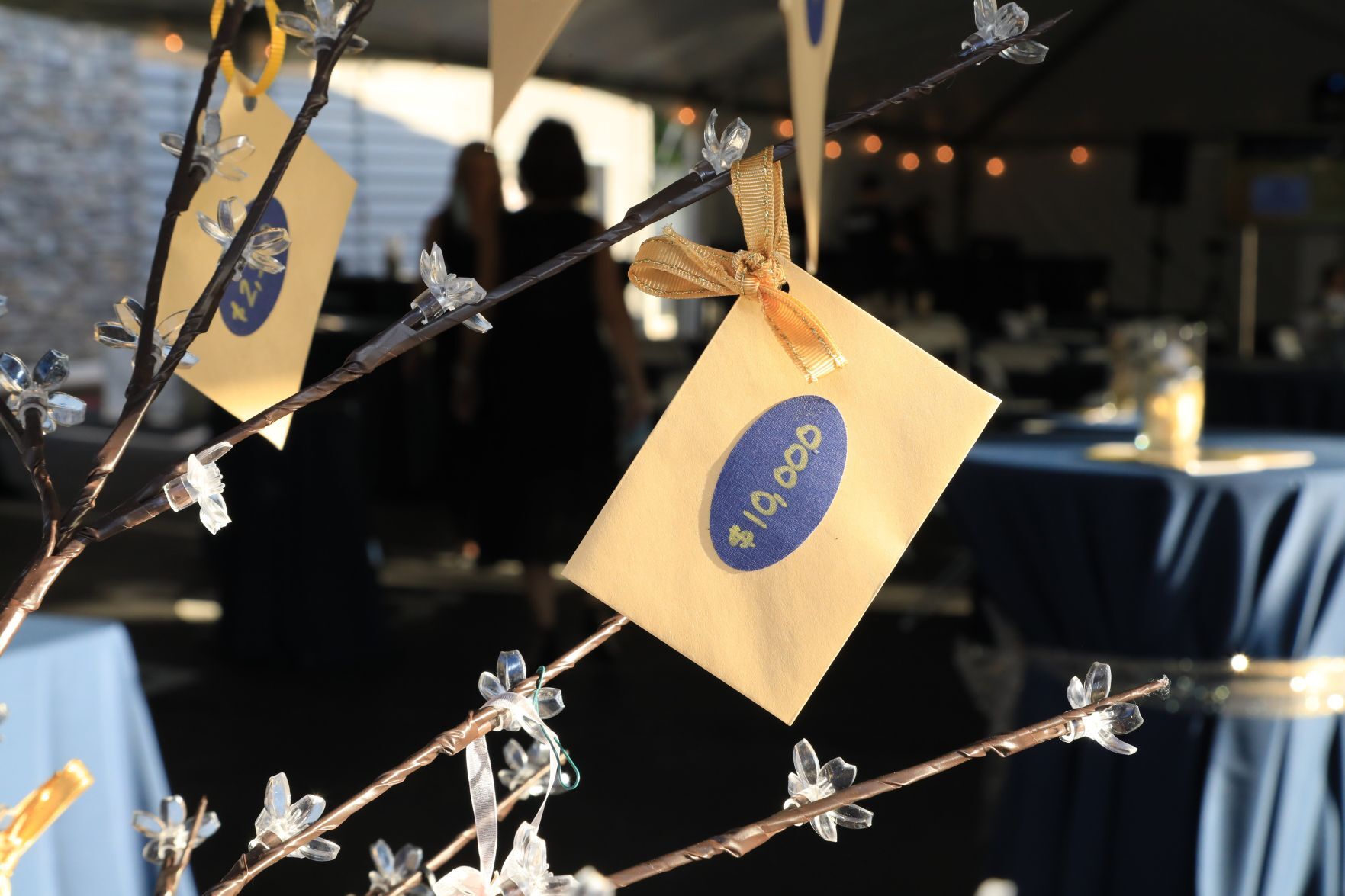 Cancer Support Community of Greater St. Louis’ Hope After Dark Gala